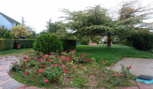 تصویر 