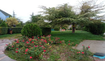 تصویر 